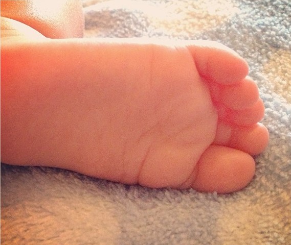 Baby toes