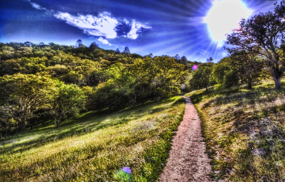 A blue sky, green grass, and a path