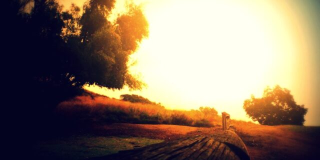 Laying A Fleece Before The Lord